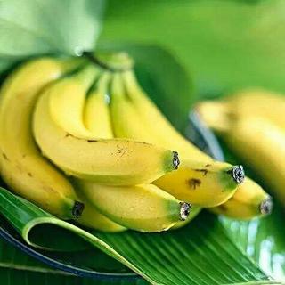 【华语黄歌】满汉sè气向，推荐外放。