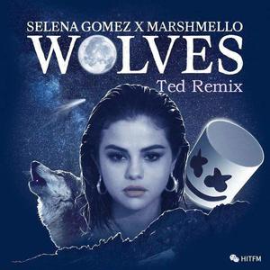 Selena Gomez、Marshmello- Wolves （升4半音）