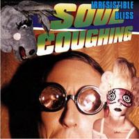 Super Bon Bon - Soul Coughing (karaoke Version)