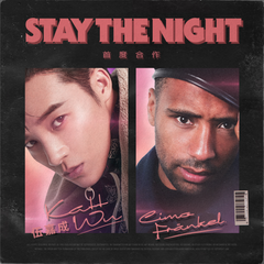 Stay The Night