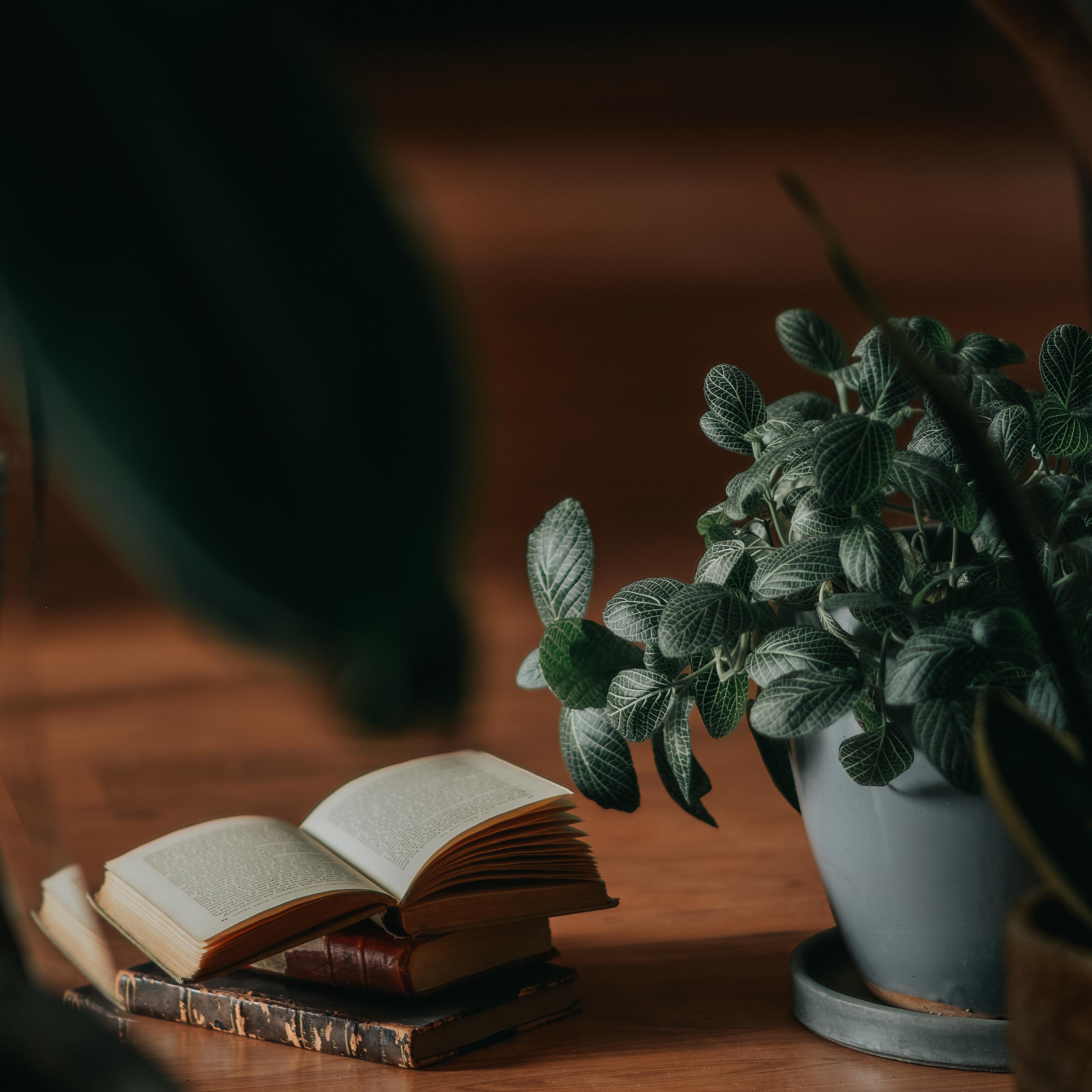 A Grey Room
