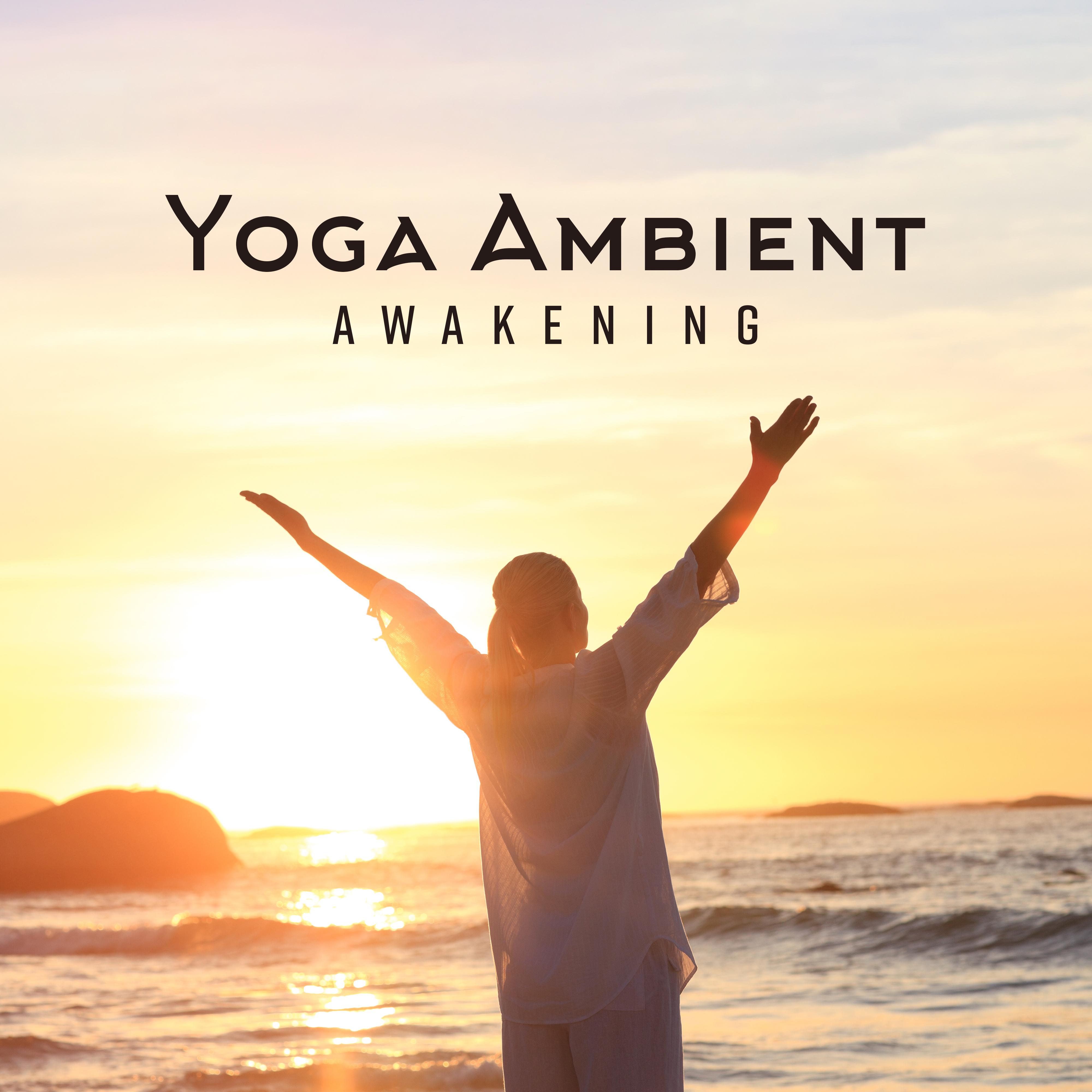 Light in Shadow - Yoga Relaxation Music/Relaxing Zen Music Ensemble ...