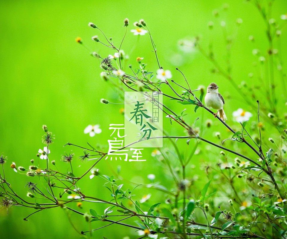 春分