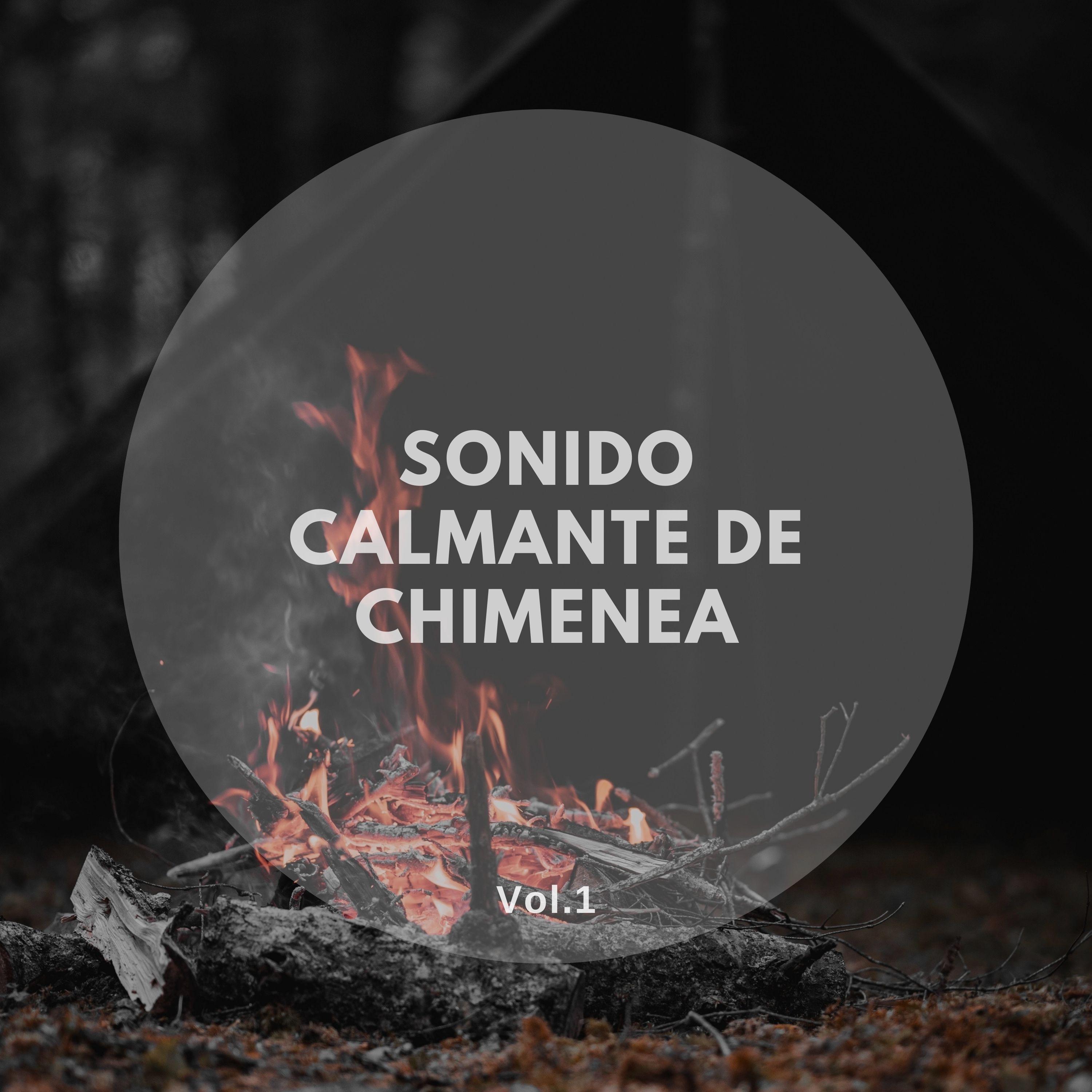 Sonidos de fuego para dormir - Conducto de la Chimenea