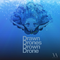 Drawn Drones Drown Drone专辑