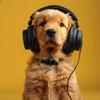 Music For Dogs Peace - Whimsical Dog Beats