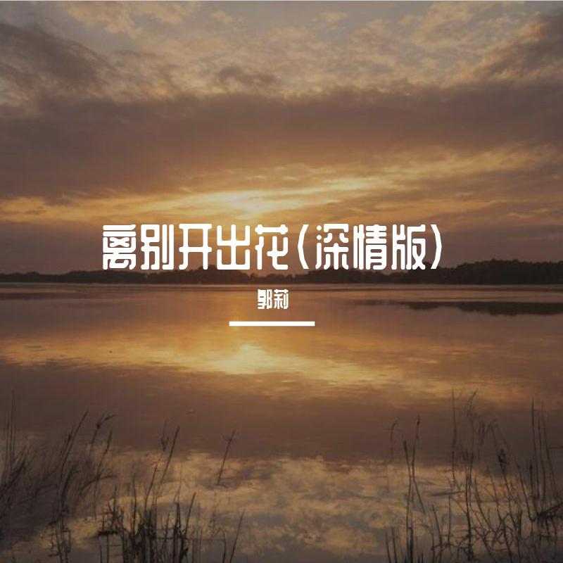离别开出花（深情版）