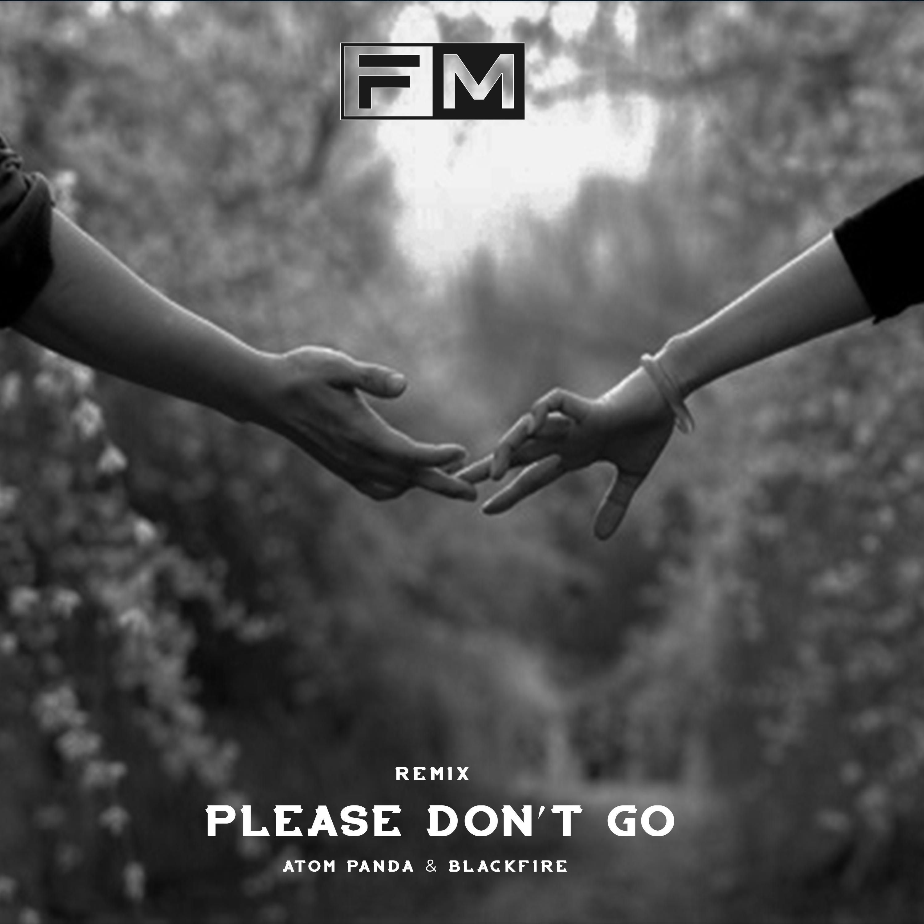 Please Don't Go（Remix）