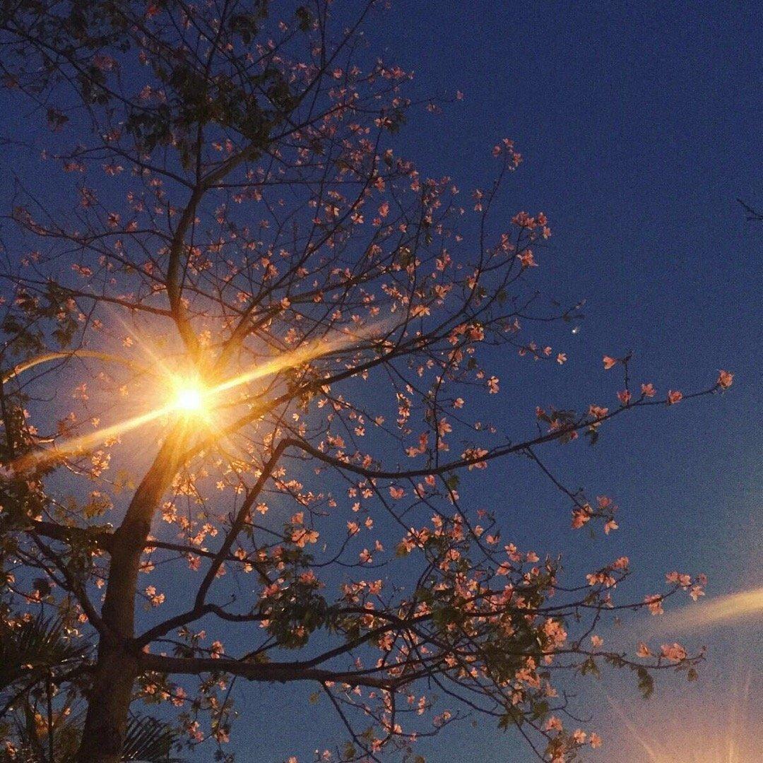 熬得住就出众 ​​