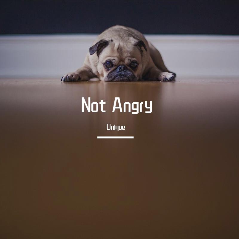 Not Angry