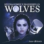 Selena Gomez-Wolves（Peter-潘 Remix）