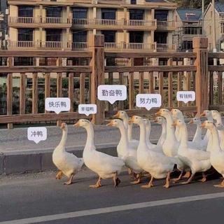 好听的男声小众歌曲