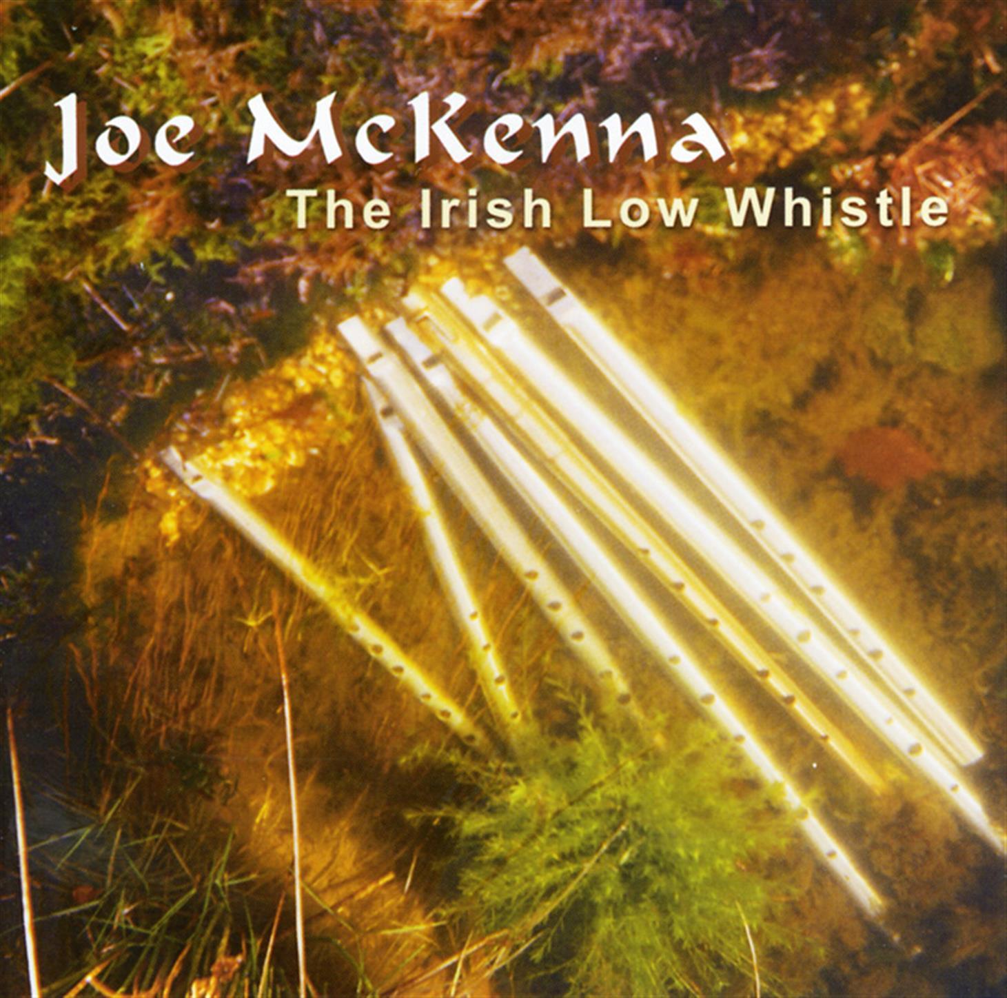 The Irish Low Whistle