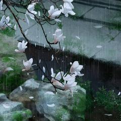 烟雨