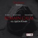 Remain Calm(ft Snoop Dogg & Precious Paris)专辑