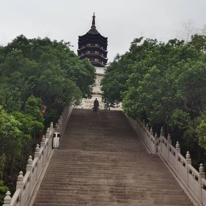 画中仙（cover金莎）