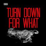 Turn Down for What [Remix] - Single专辑
