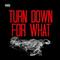 Turn Down for What [Remix] - Single专辑