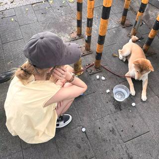 最近有点累 想睡很久的觉