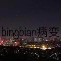 bingbian病变专辑