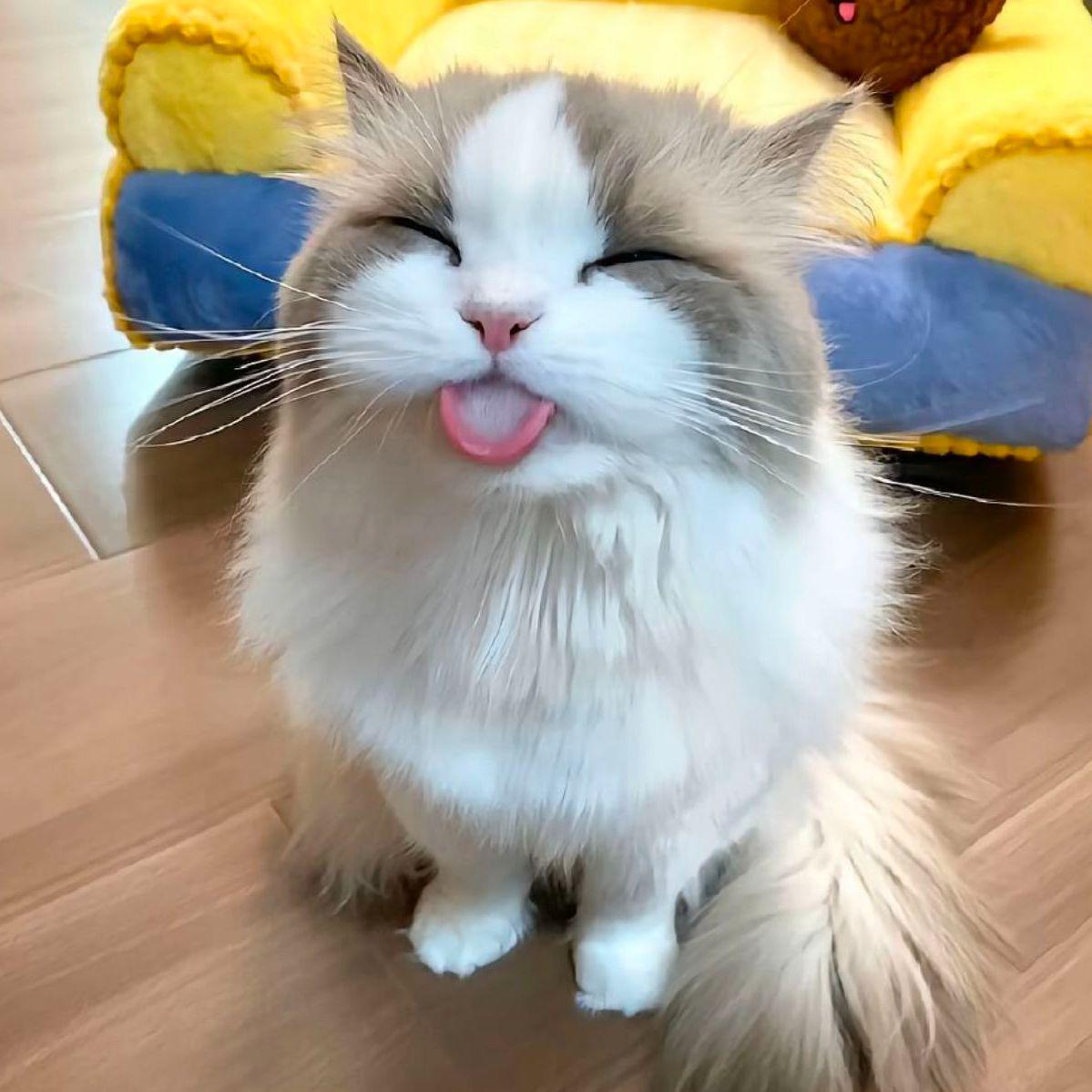 废话