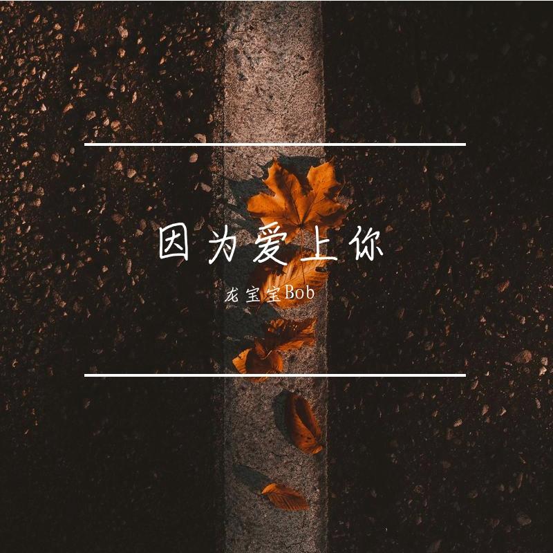 因为爱上你