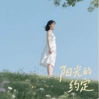 阳光的约定