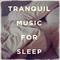 Tranquil Music for Sleep专辑