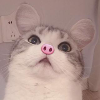 【精选】欧美踩点节奏bgm燃向/剧情向