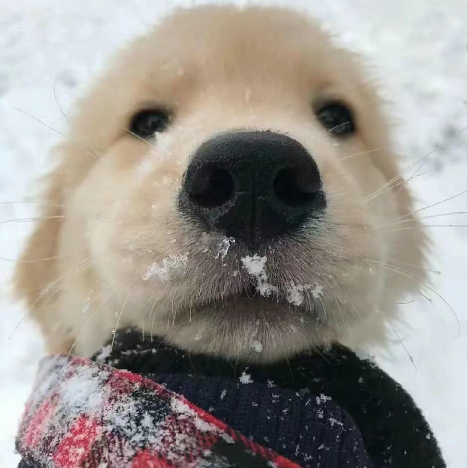 方沁-步步（DJ阿聪remix）（DJ阿聪Remix remix）