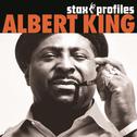 Albert King - Stax Profiles专辑