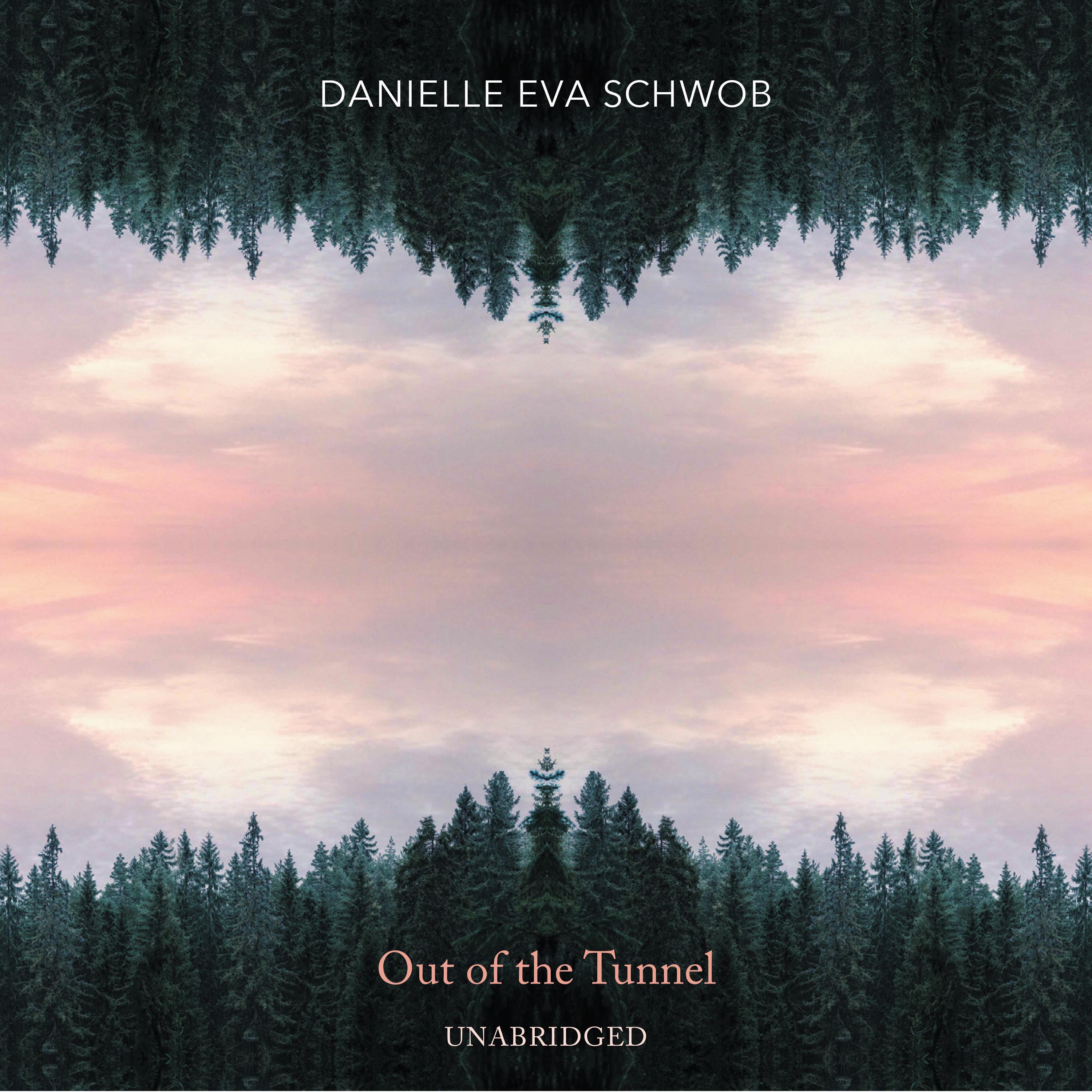 Danielle Eva Schwob: Out of the Tunnel (Unabridged)