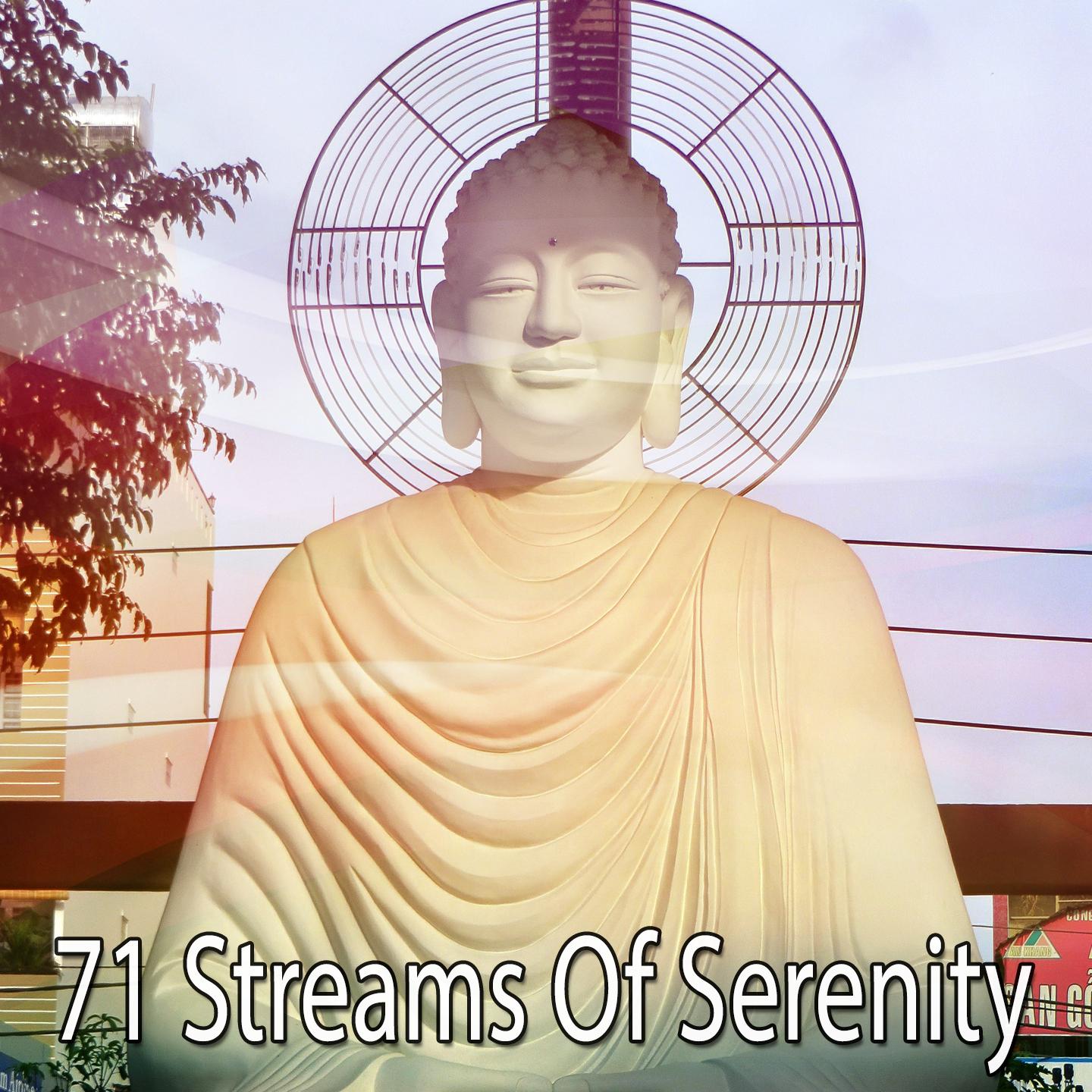 71 Streams Of Serenity专辑