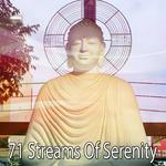 71 Streams Of Serenity专辑