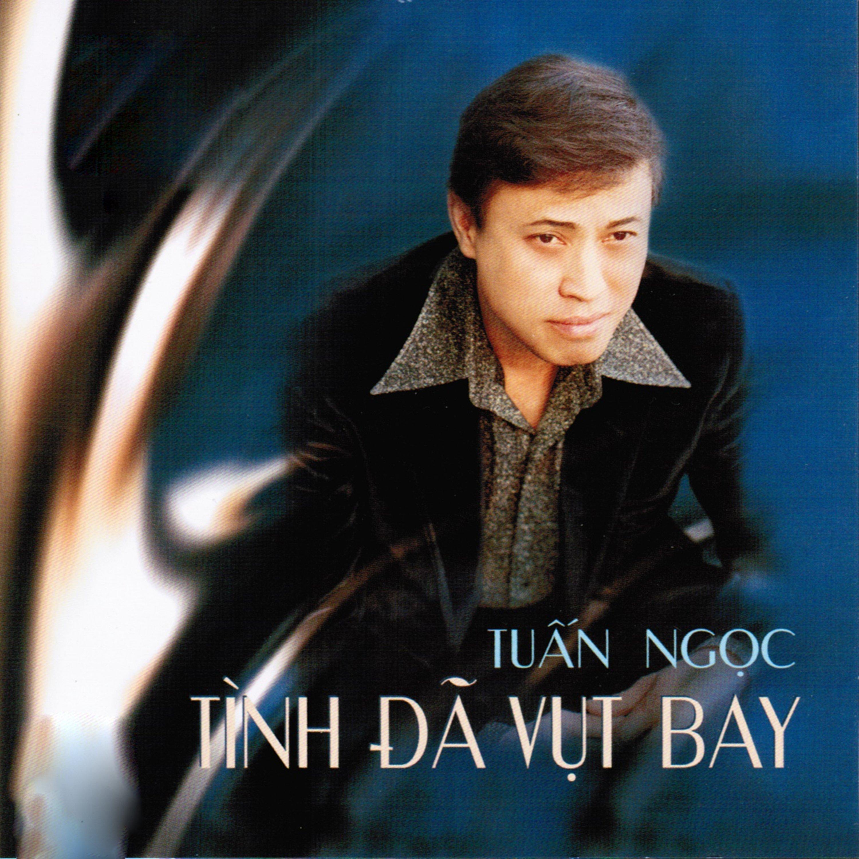 Tinh Da Vut Bay