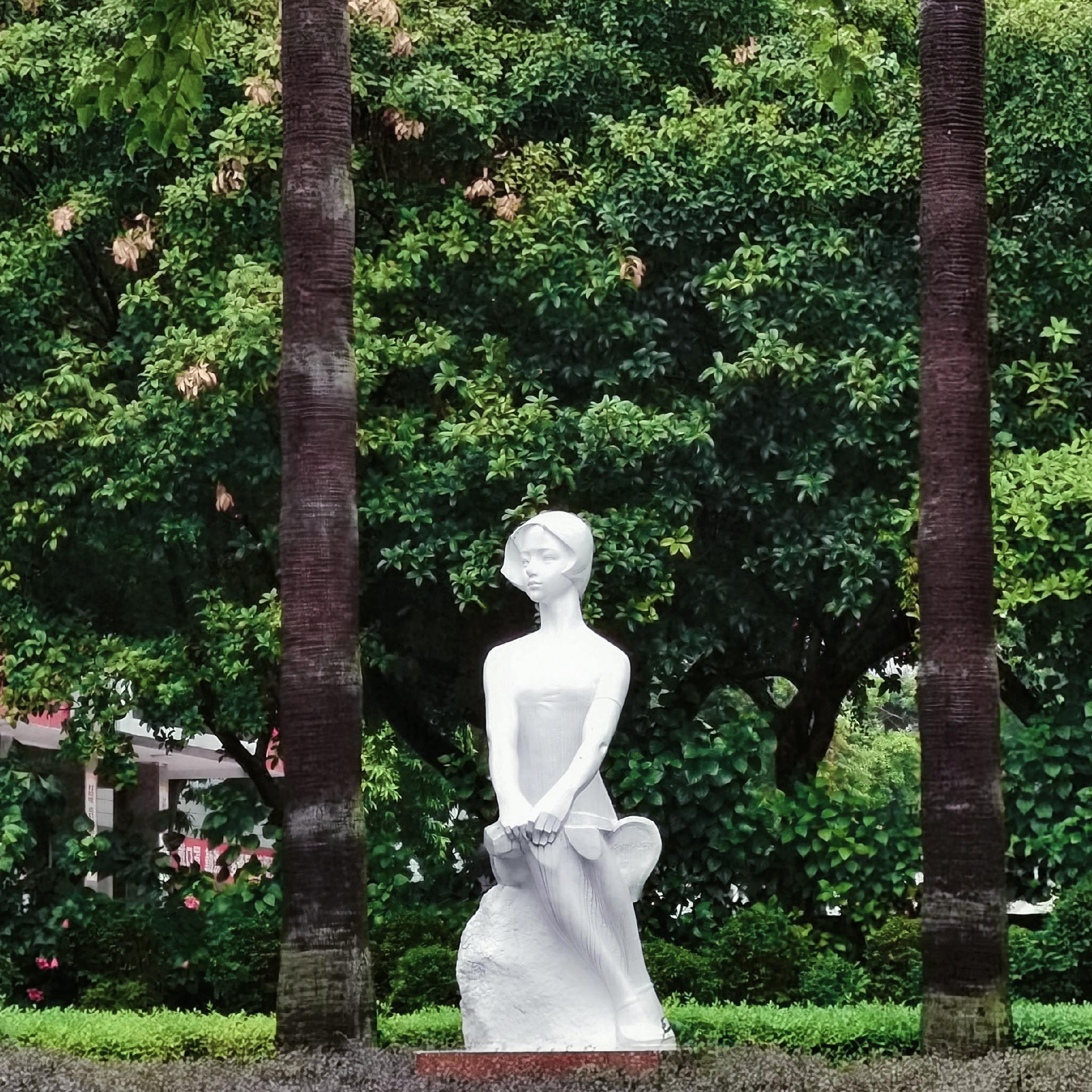 南平一中·紫云