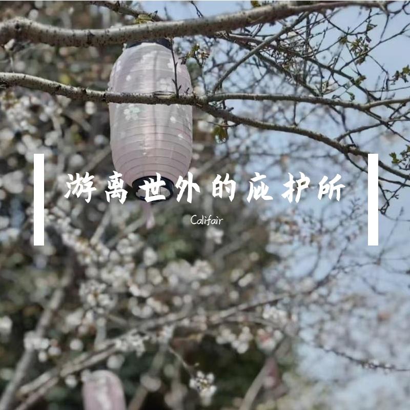 游离世外的庇护所