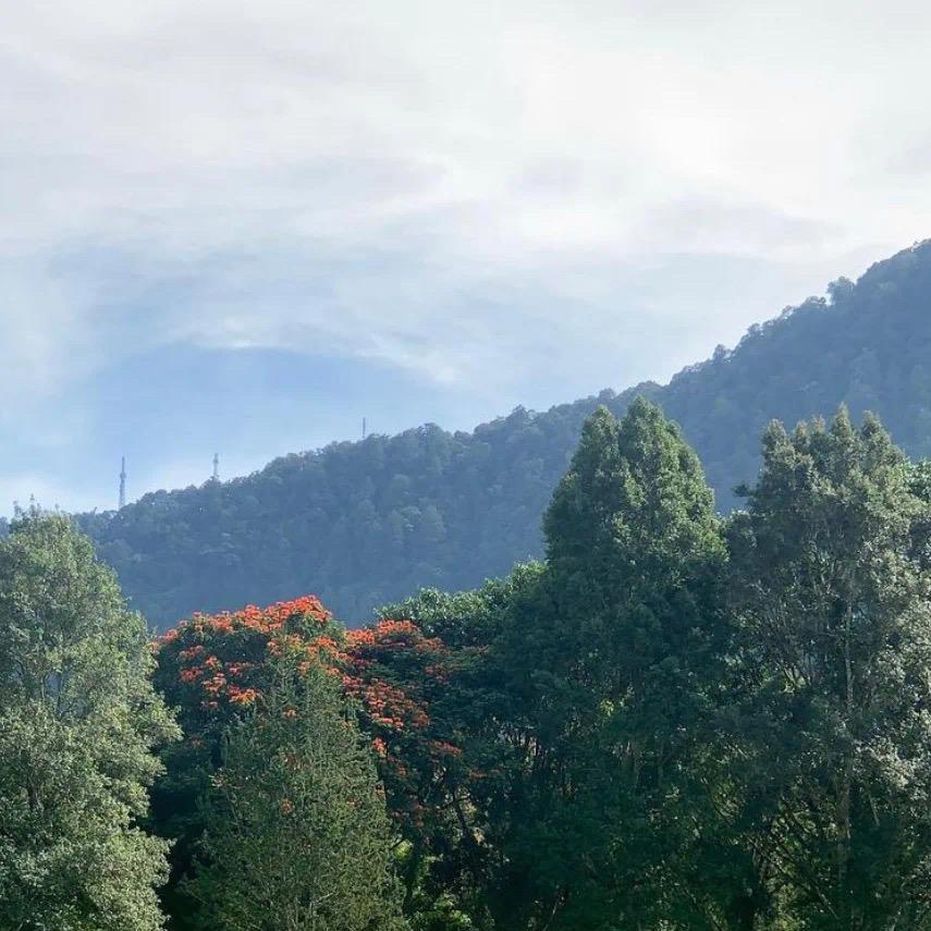 舞动的时尚（remix）