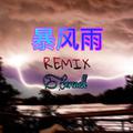 暴风雨REMIX