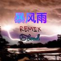暴风雨REMIX专辑