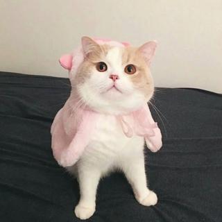 我想和你谈恋爱♡