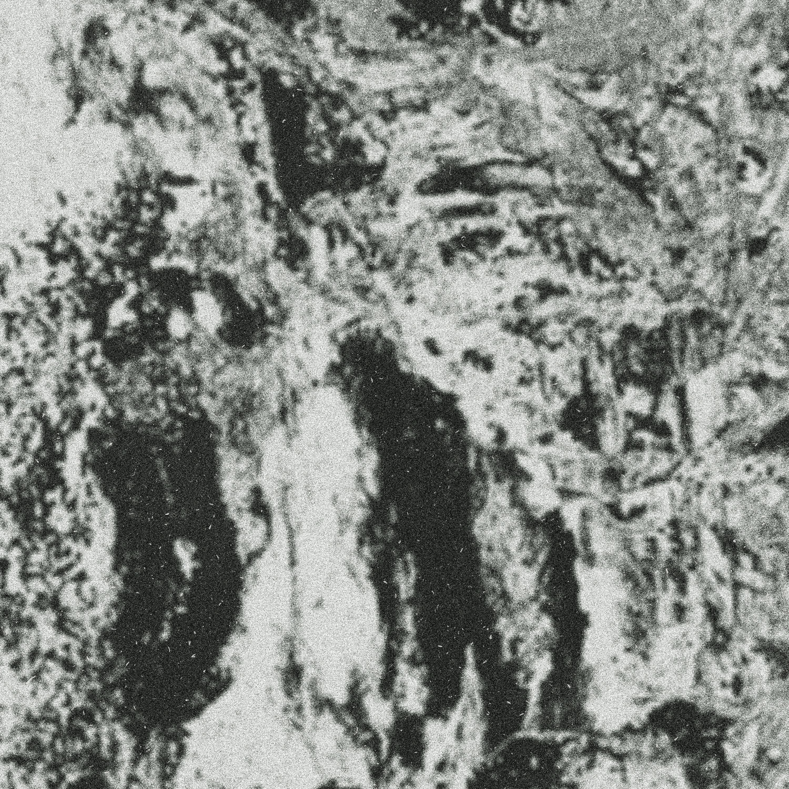 Hinari