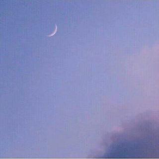 不会写词的lambertl°