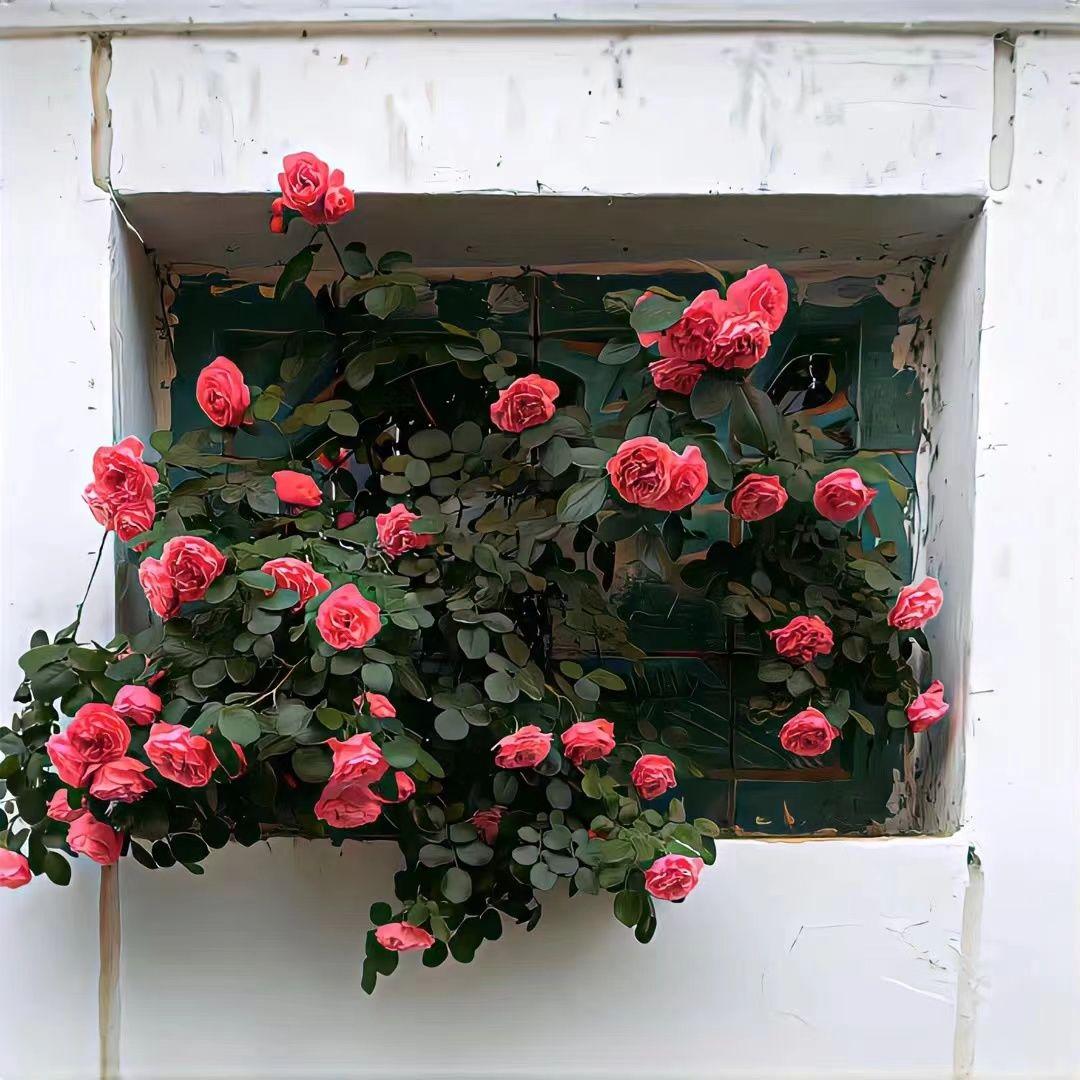 断了的弦（翻唱Jay）