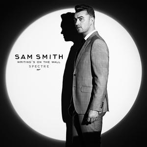 Sam Smith - Writing's on the Wall (VS karaoke) 带和声伴奏 （升8半音）