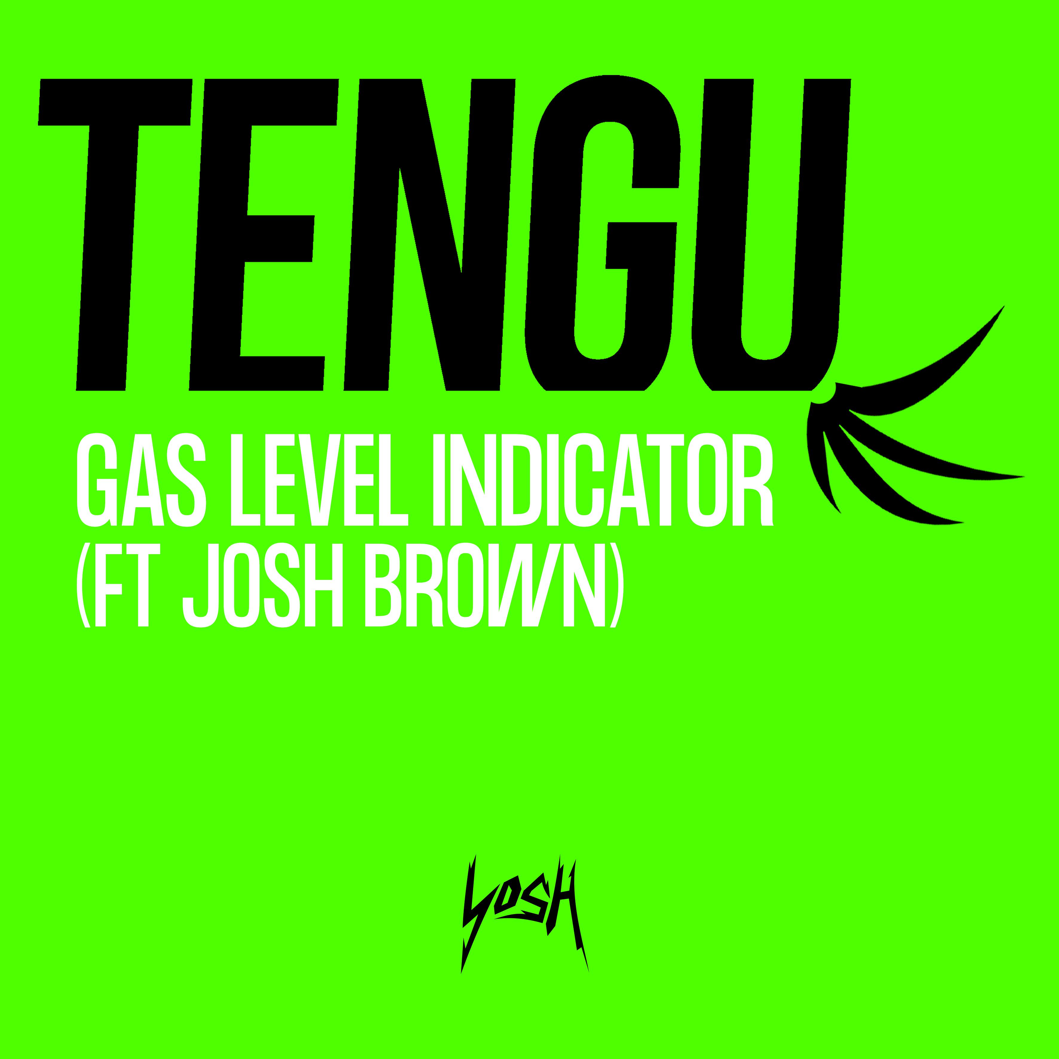 Tengu - Gas Level Indicator