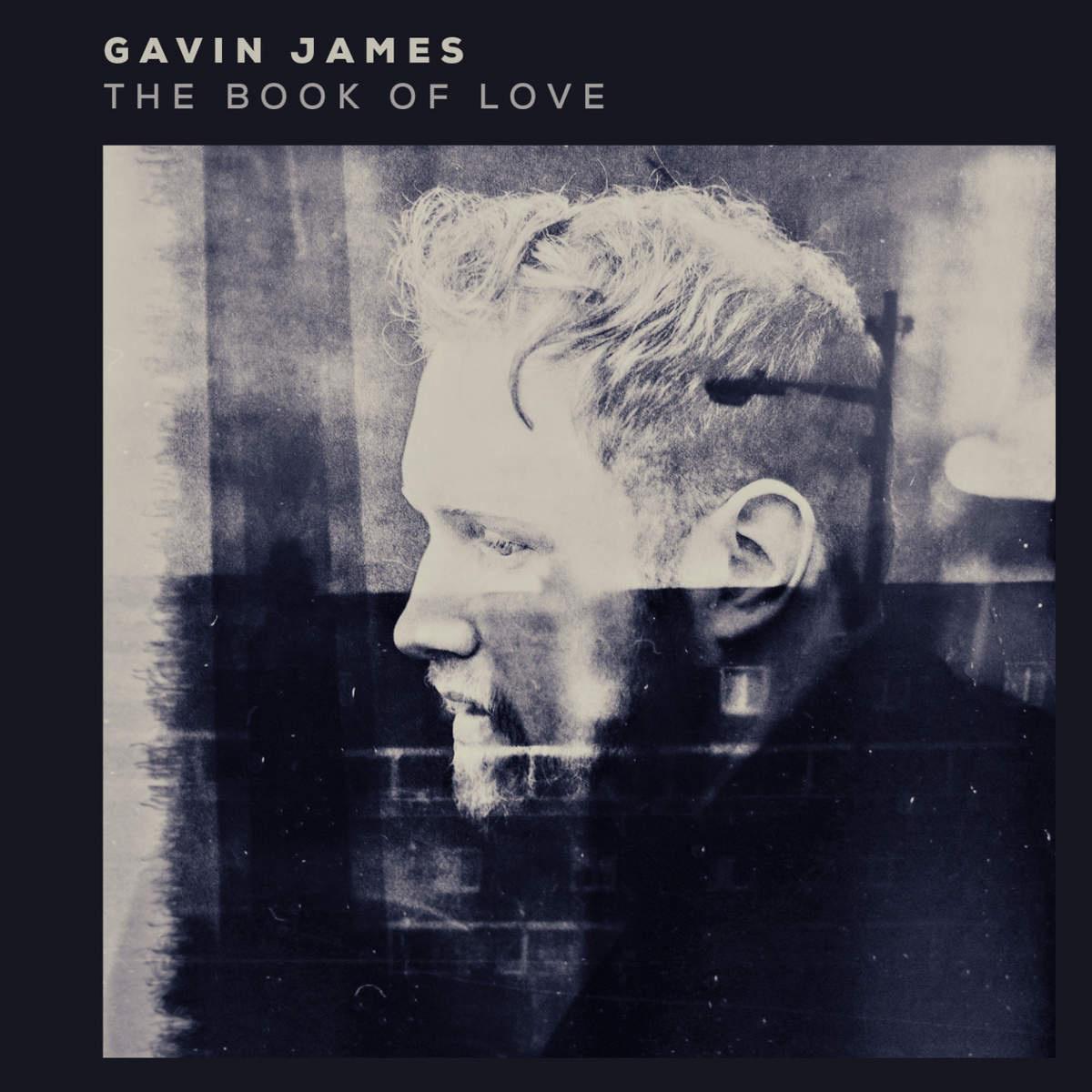 Gavin James - The Book of Love (Young Wonder Remix)