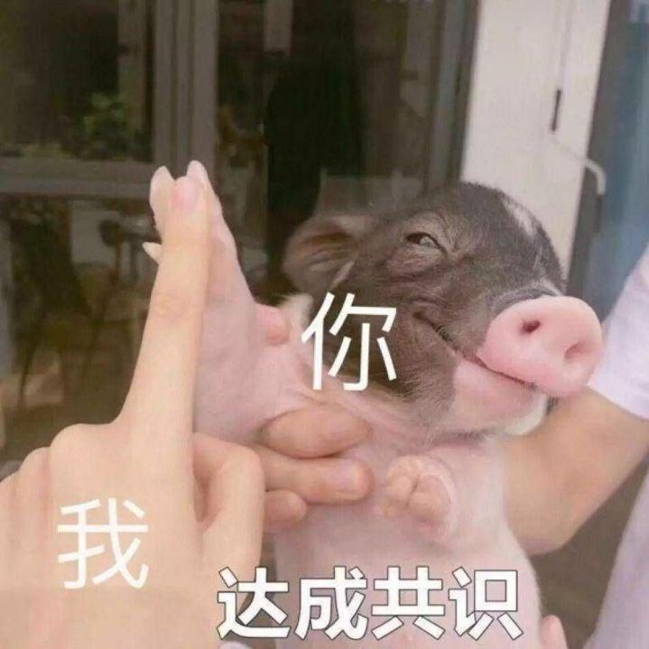 梁志超他奶奶的歌单