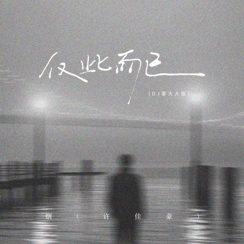 仅此而已 (DJ豪大大版)