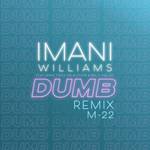 Dumb (M-22 Remix)专辑